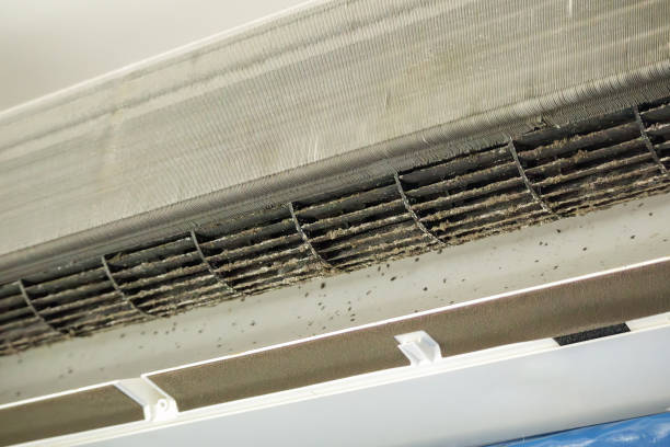Air Quality Test in Rochester, WA